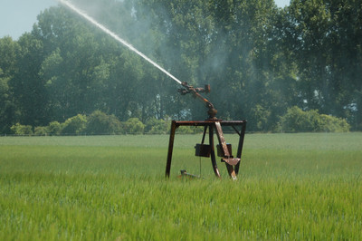 Feld wird bewässert