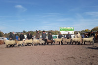 Gruppenbild Teilnehmer und Tiere