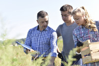 Im Projekt "Lernort Bauernhof" erhalten Schülerinnen und Schüler Einblicke in moderne Landwirtschaft. 