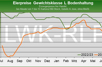 Marktgrafik: Erzeugerpreise für Eier frei Handel, Gewichtsklasse L aus Bodenhaltung