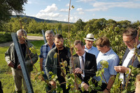 Landwirtschaftsminister Dr. Volker Wissing (M.) machte sich in Otterbach ein Bild von den Hagelschäden.