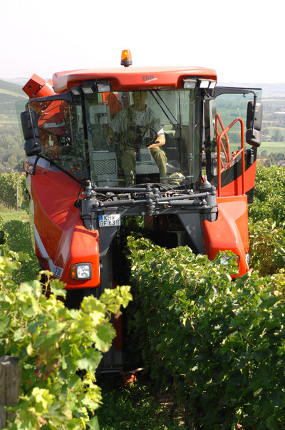 Traubenvollernter im Weinberg