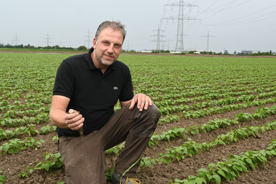 Tobias Mattern auf seinem Feld bei Frankenthal.