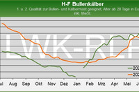 Marktgrafik: Nutzkälber HF Bullen